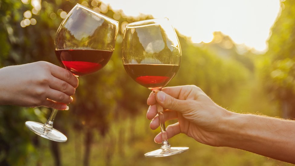 rutas del vino - myb blog